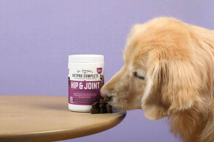 Golden retriever sniffing Hip & Joint chews beside the tub