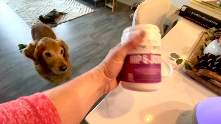 An owner holding a Hip & Joint tub while a dog watches