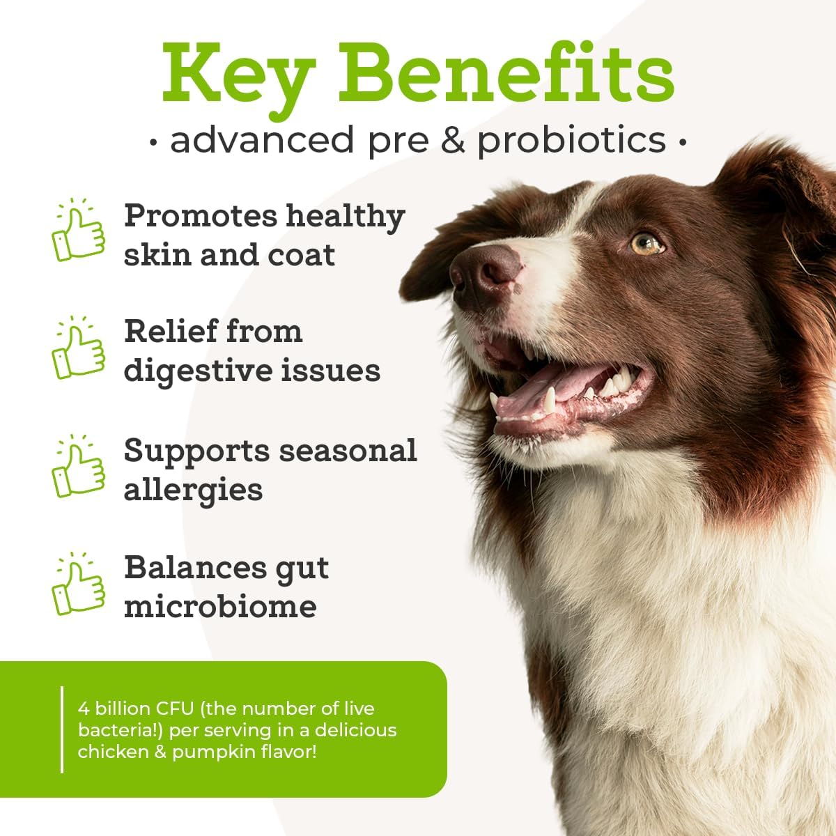 Advanced Pre & Probiotics