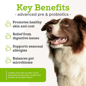 Advanced Pre & Probiotics