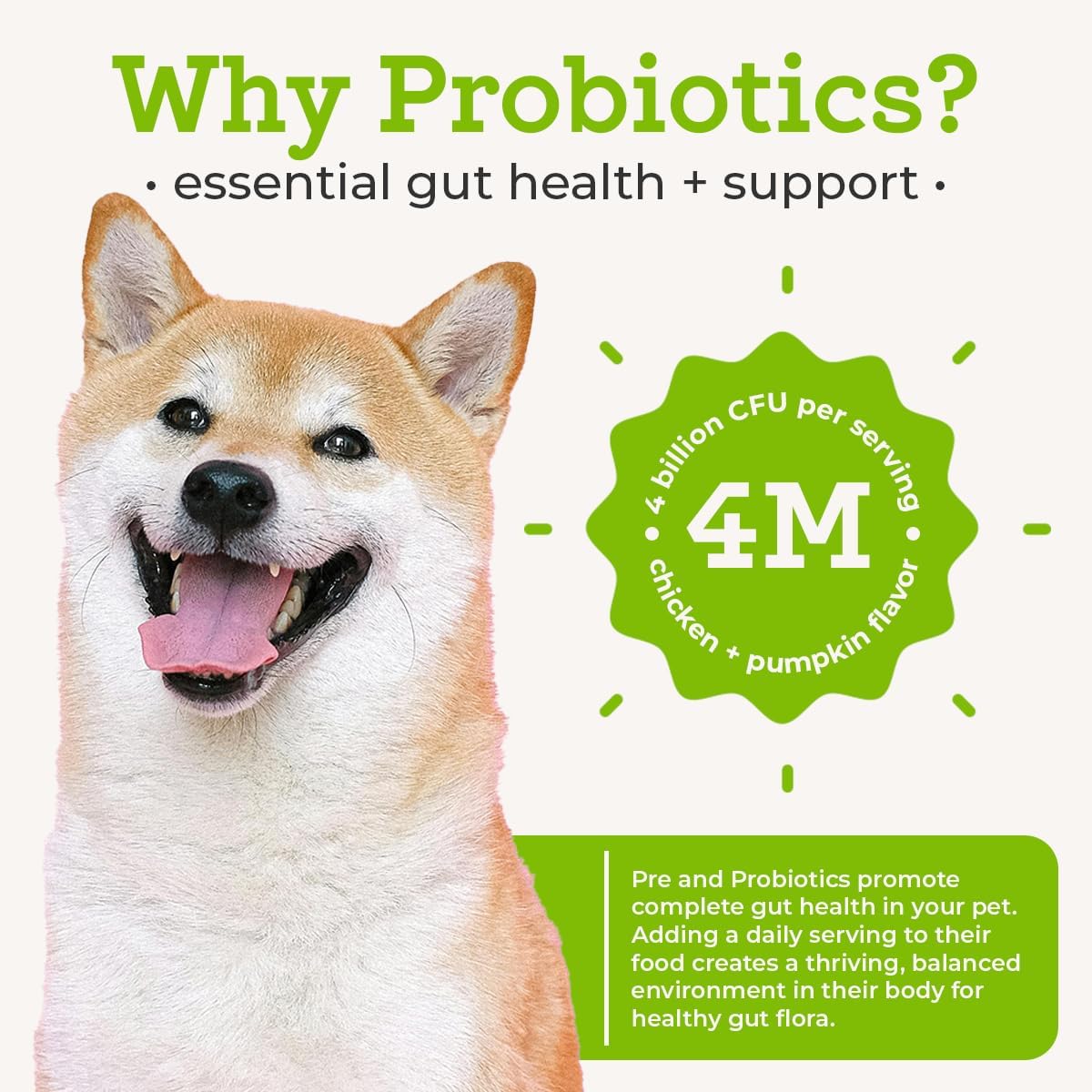 Advanced Pre & Probiotics
