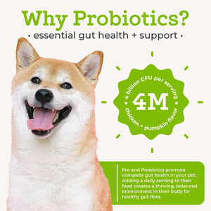 Advanced Pre & Probiotics