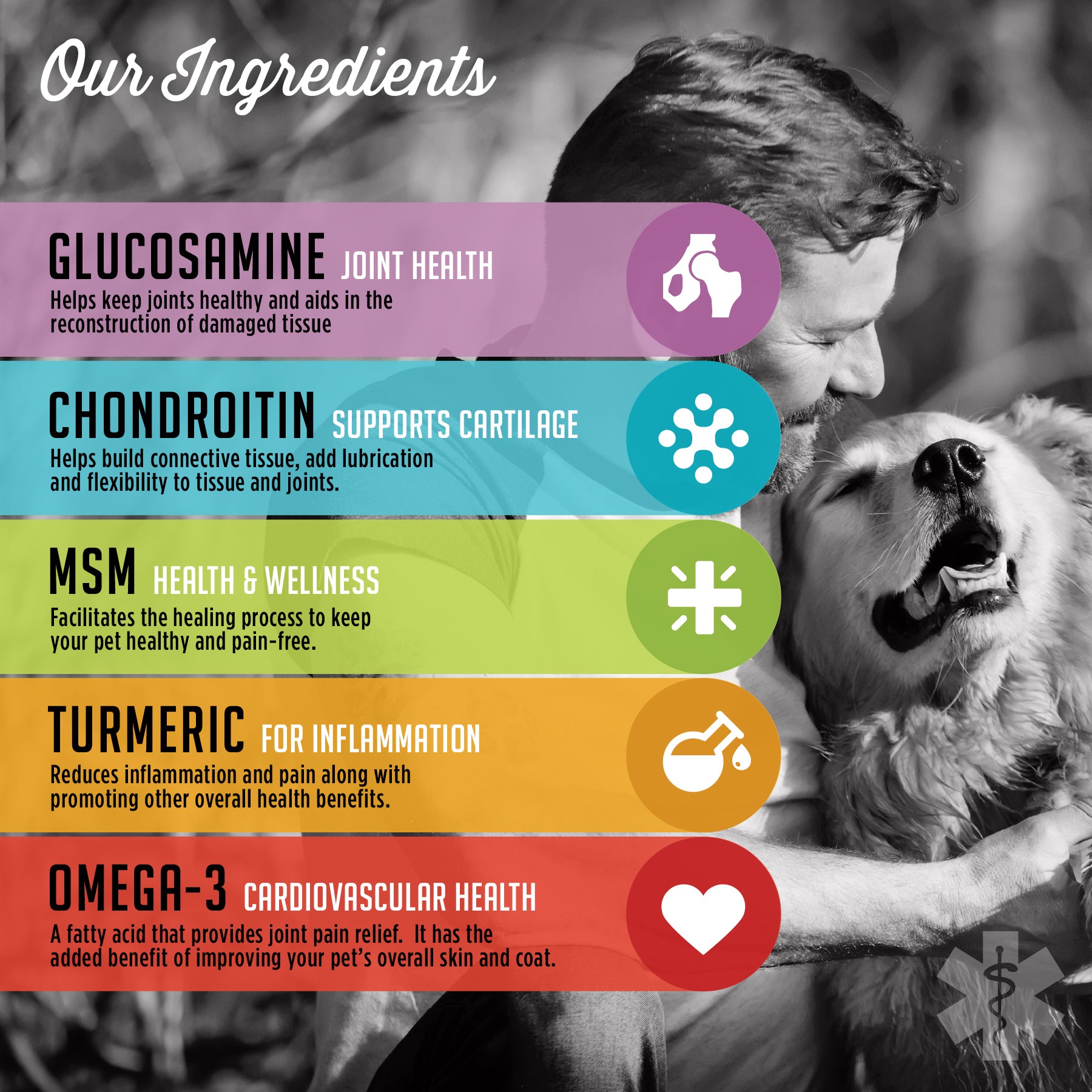 Hip and Joint Maximum Strength VetPro Complete