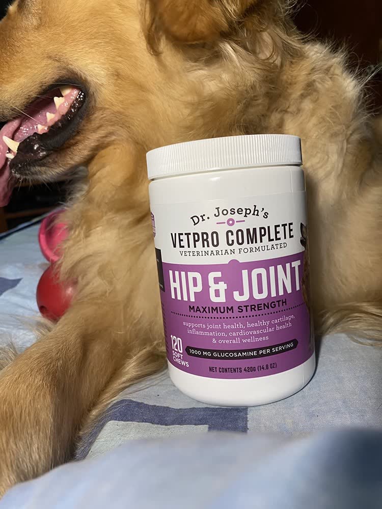 A happy dog whose owner reviewed VetPro Complete