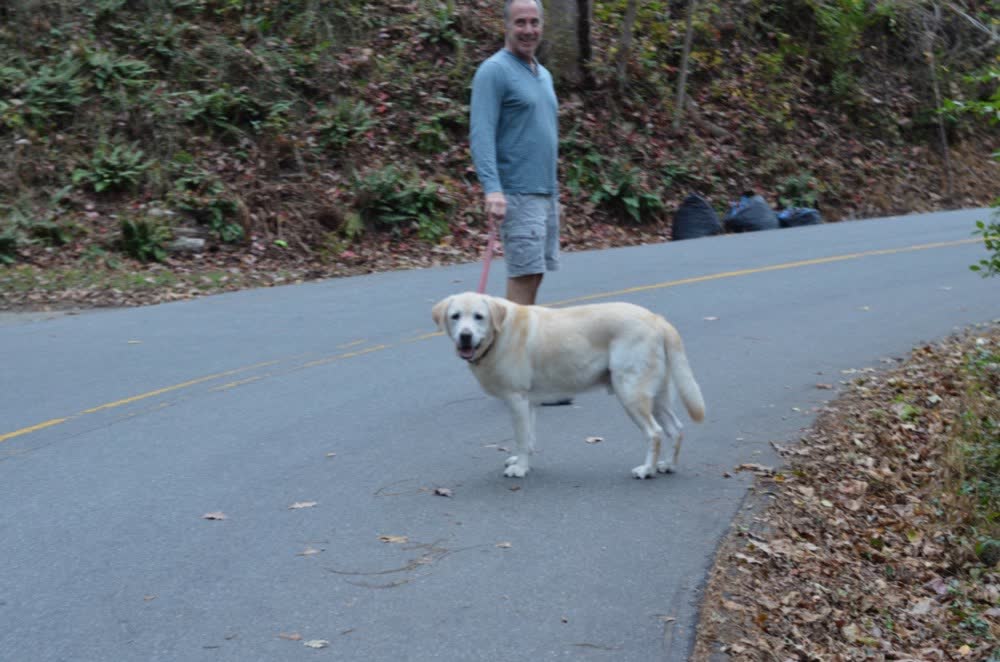 A happy dog whose owner reviewed VetPro Complete