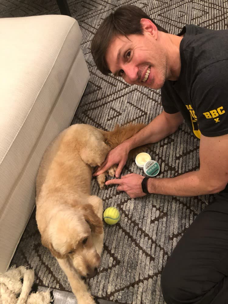 A happy dog whose owner reviewed VetPro Complete