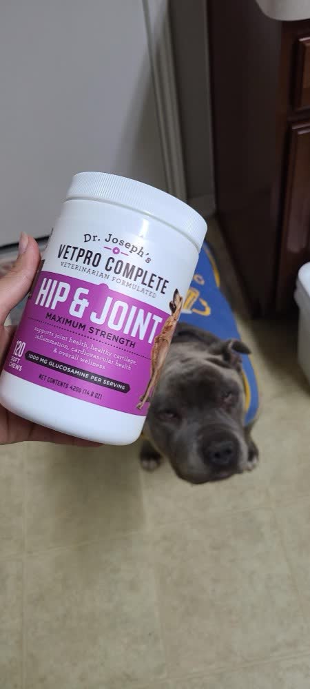A happy dog whose owner reviewed VetPro Complete